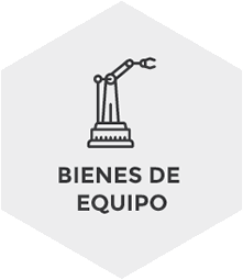 Bienes_Equipo_Ico
